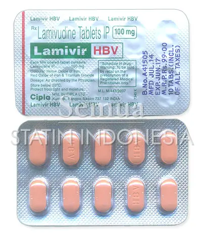 Epivir Hbv
